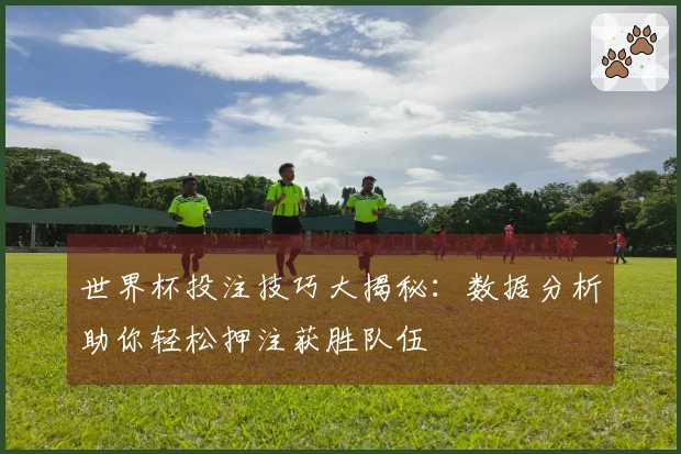世界杯投注技巧大揭秘：数据分析助你轻松押注获胜队伍