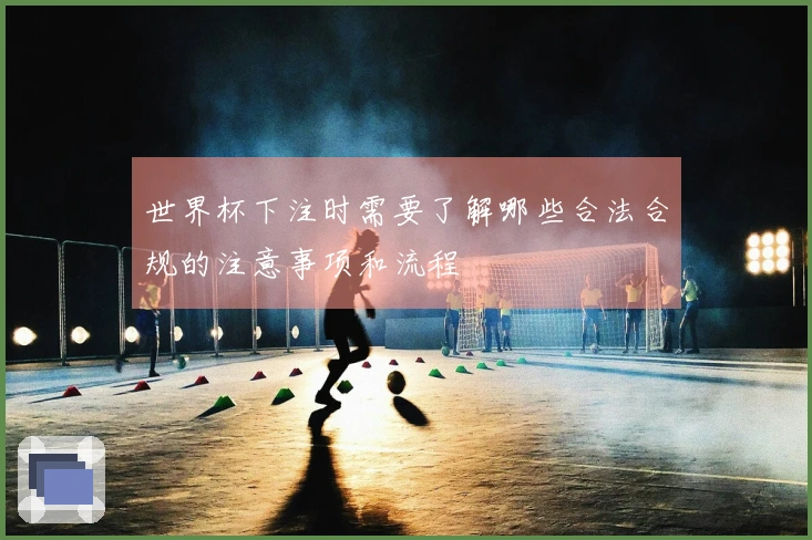 世界杯下注时需要了解哪些合法合规的注意事项和流程