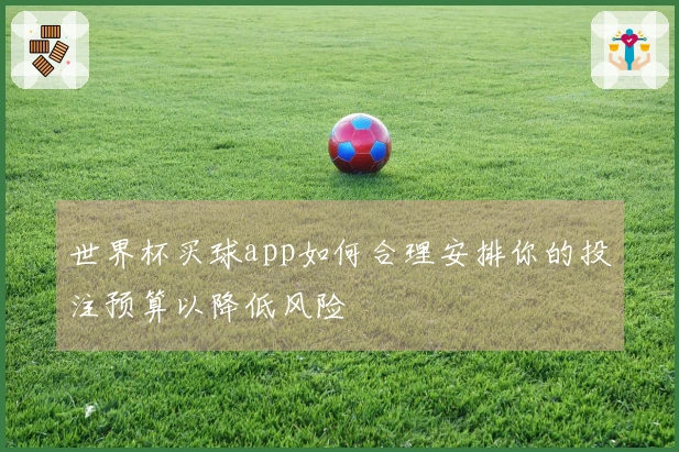 世界杯买球app如何合理安排你的投注预算以降低风险