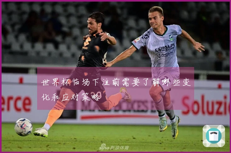 世界杯临场下注前需要了解哪些变化和应对策略