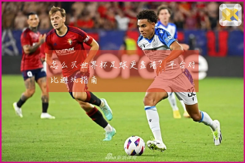 怎么买世界杯足球更靠谱？平台对比避坑指南