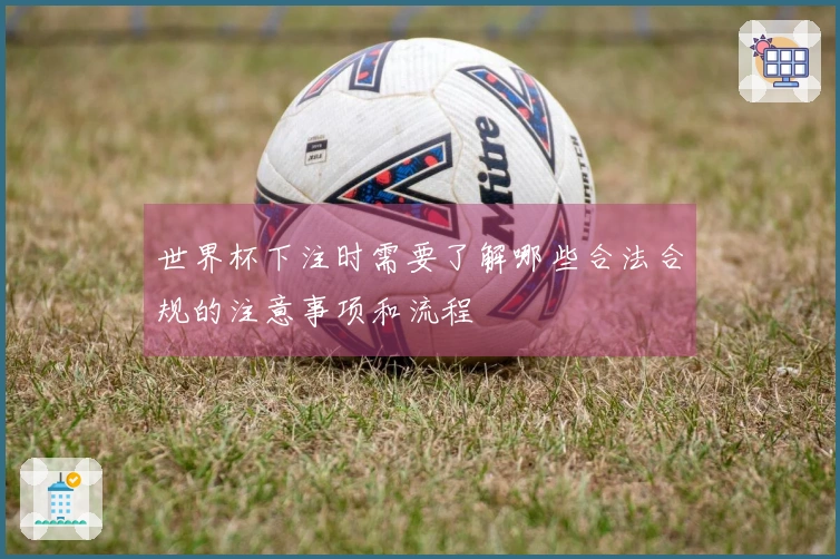 世界杯下注时需要了解哪些合法合规的注意事项和流程