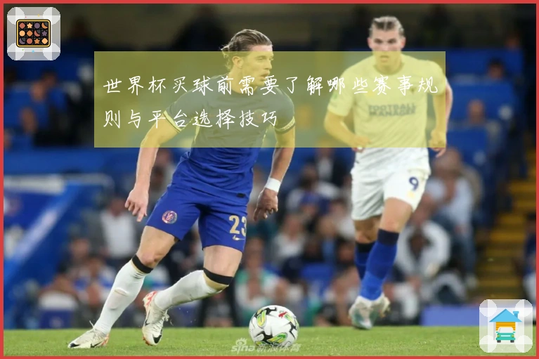 世界杯买球前需要了解哪些赛事规则与平台选择技巧