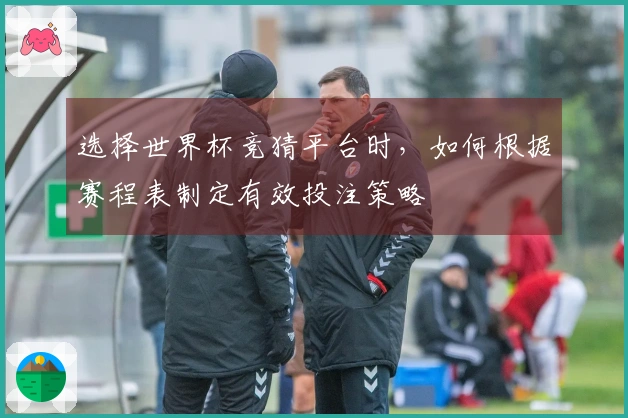 选择世界杯竞猜平台时，如何根据赛程表制定有效投注策略