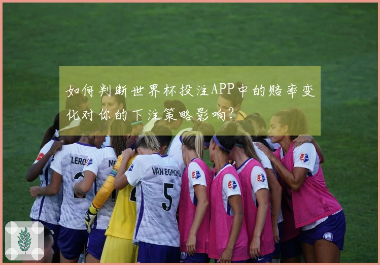 如何判断世界杯投注APP中的赔率变化对你的下注策略影响？