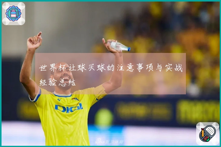 世界杯让球买球的注意事项与实战经验总结
