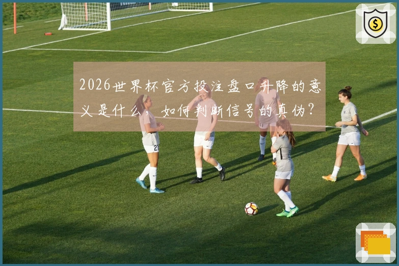 2026世界杯官方投注盘口升降的意义是什么，如何判断信号的真伪？