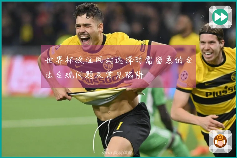 世界杯投注网站选择时需留意的合法合规问题及常见陷阱