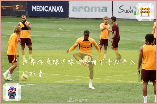 世界杯滚球买球该如何下手新手入门指南