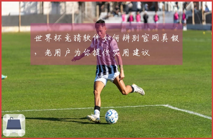 世界杯竞猜软件如何辨别官网真假，老用户为你提供实用建议