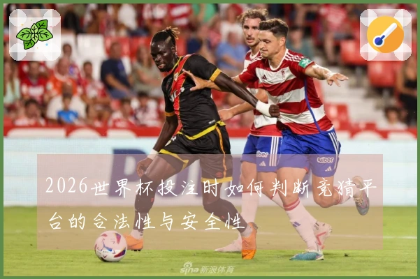 2026世界杯投注时如何判断竞猜平台的合法性与安全性