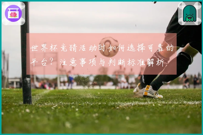 世界杯竞猜活动时如何选择可靠的平台？注意事项与判断标准解析