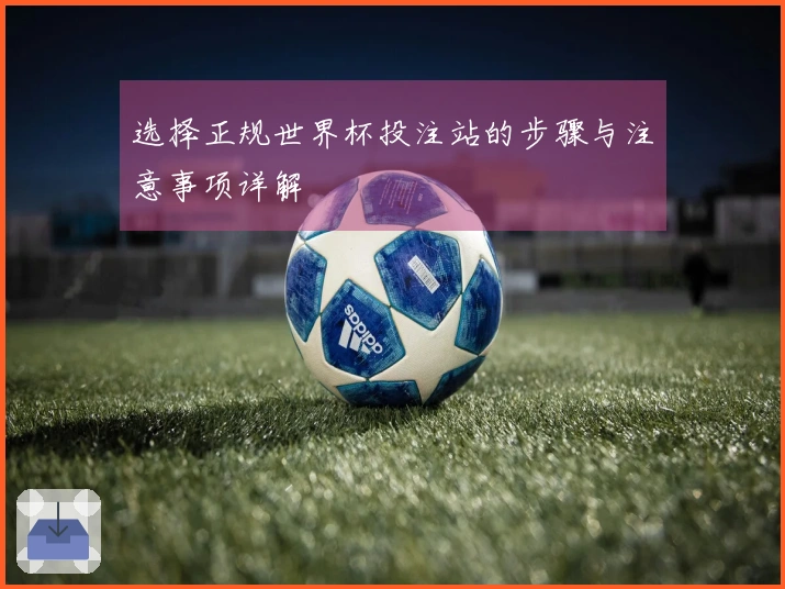 选择正规世界杯投注站的步骤与注意事项详解
