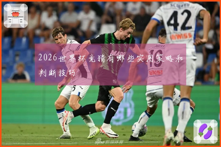 2026世界杯竞猜有哪些实用策略和判断技巧