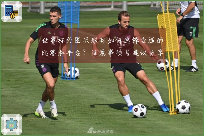 世界杯外围买球时如何选择合适的比赛和平台？注意事项与建议分享