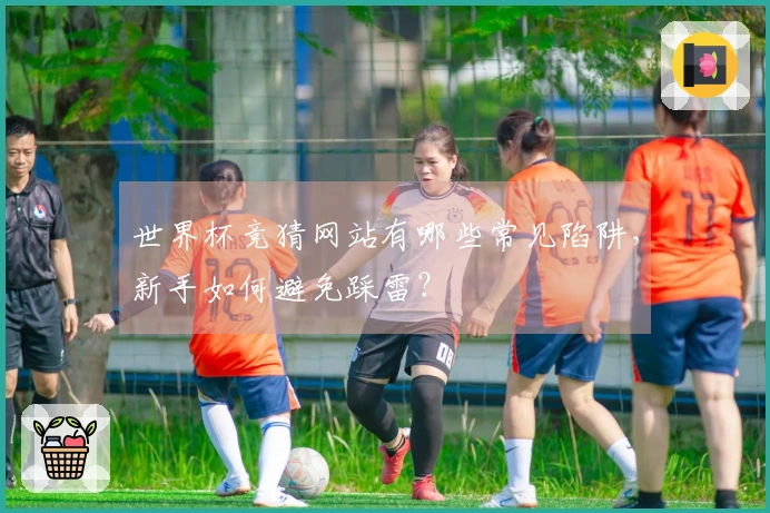 世界杯竞猜网站有哪些常见陷阱，新手如何避免踩雷？