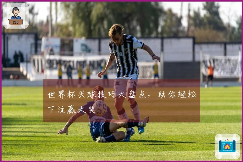 世界杯买球技巧大盘点，助你轻松下注赢大奖