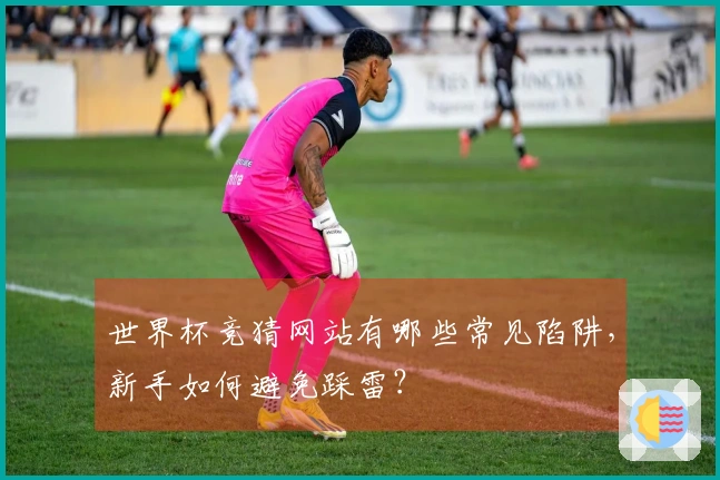 世界杯竞猜网站有哪些常见陷阱，新手如何避免踩雷？