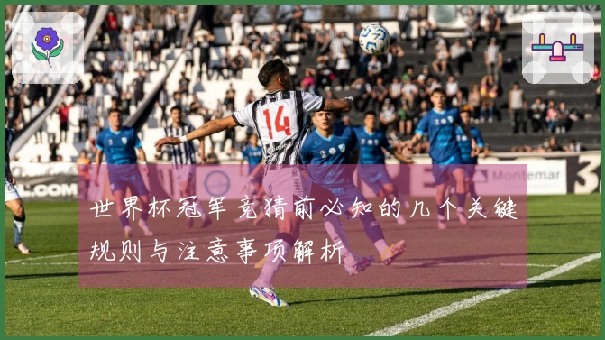 世界杯冠军竞猜前必知的几个关键规则与注意事项解析