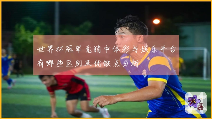 世界杯冠军竞猜中体彩与娱乐平台有哪些区别及优缺点分析