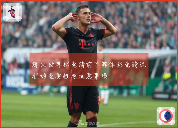 烽火世界杯竞猜前了解体彩竞猜流程的重要性与注意事项