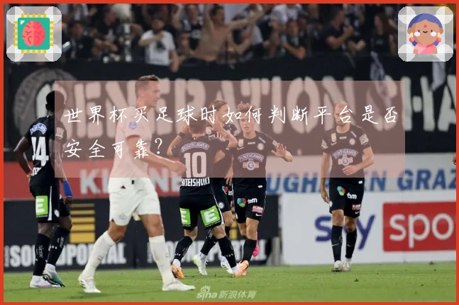 世界杯买足球时如何判断平台是否安全可靠？