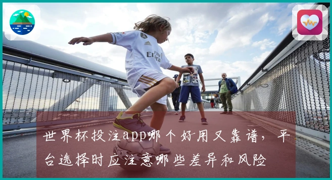 世界杯投注app哪个好用又靠谱，平台选择时应注意哪些差异和风险