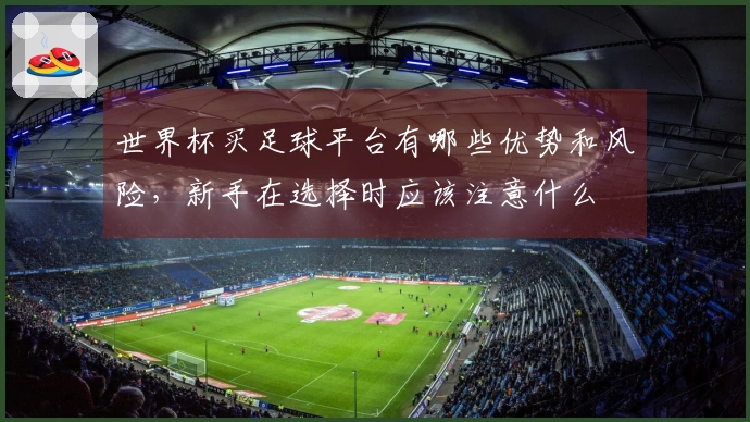 世界杯买足球平台有哪些优势和风险，新手在选择时应该注意什么