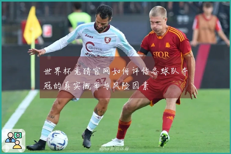 世界杯竞猜官网如何评估各球队夺冠的真实概率与风险因素