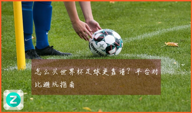 怎么买世界杯足球更靠谱？平台对比避坑指南