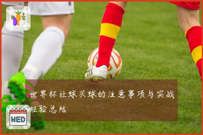 世界杯让球买球的注意事项与实战经验总结