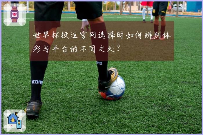 世界杯投注官网选择时如何辨别体彩与平台的不同之处？